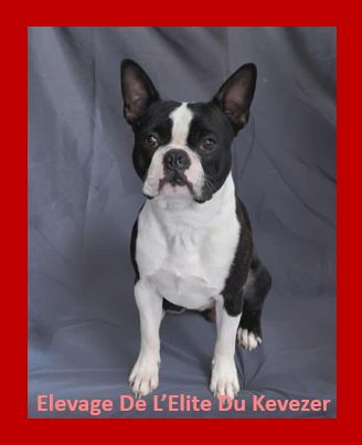 V orwenn vom norden haus